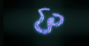 Scientists in China Create Deadly Ebola-Like Virus in Just 3 Days—Sparks Global Safety Concerns!