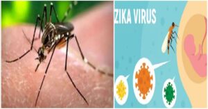 5 Zika Dangers EVERY Pregnant Woman MUST Know (Especially 2!)