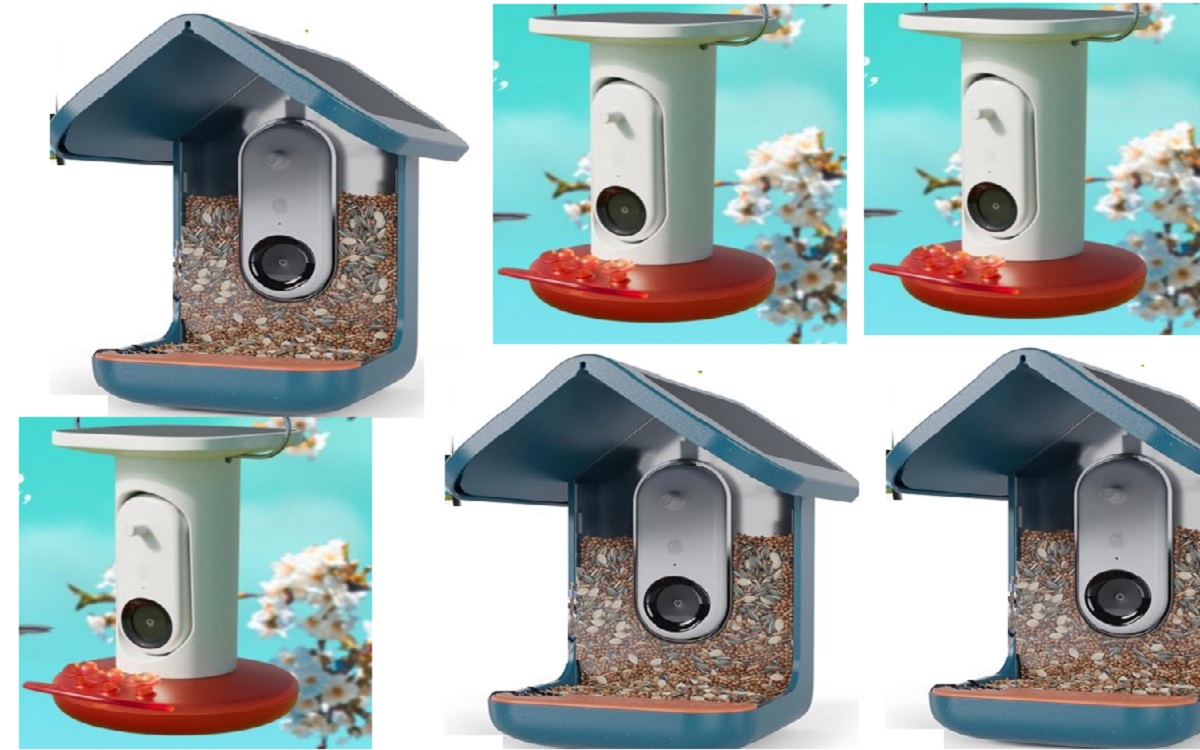 Backyard BIRDS Identified & FILMED! But is it Worth $239 (Bird Buddy Review)