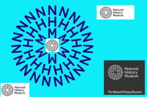 1 Stag Beetle Fact Will SHOCK You (They're Worth Rs 75 Lakh!)