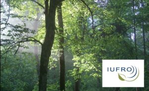 5 Shocking Things You Didn't Know About Forests Revealed at Major Conference!