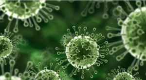 Nipah Virus Outbreak in Kerala: A Public Health Emergency