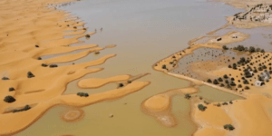 Sahara Desert Floods for the First Time in 50 Years