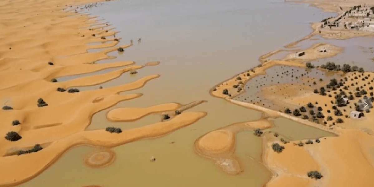 Sahara Desert Floods for the First Time in 50 Year