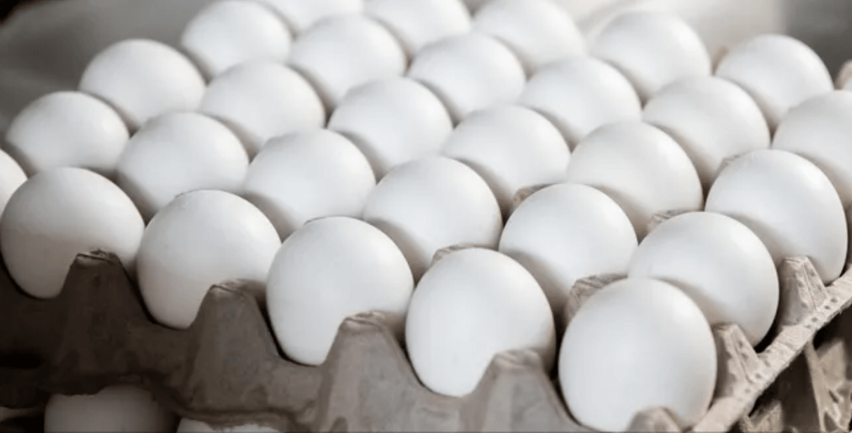 Egg Prices Skyrocket to Record Highs Amid Ongoing Bird Flu Crisis