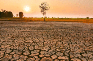 Heatwave Alert: 7 Shocking Ways Uttar Pradesh’s Scorching Temperatures Could Impact Your Health and Daily Life