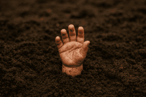 A Tiny Hand in the Earth: The Fight for One Baby Girl and the Scourge of India's Missing Daughters