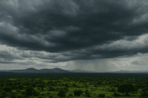 Karnataka Weather: Decoding Cyclone Montha’s Distant Embrace – Cloudy Skies, Scattered Showers, and Why the State is Spared the Storm  1 Karnataka Weather: Decoding Cyclone Montha’s Distant Embrace – Cloudy Skies, Scattered Showers, and Why the State is Spared the Storm