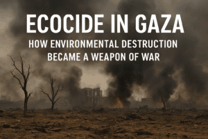 Ecocide in Gaza: How Environmental Destruction Became a Weapon of War 