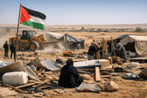 The 244th Stone: Why the Unending Demolition of al-Arakib Reveals a Deeper Conflict 