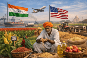 The Hidden Cost of Cheap Grain: How a U.S.-India Trade Deal Could Reshape Farms, Food, and Sovereignty 